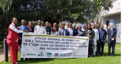 14 pays africains en réflexion à Lomé sur la gestion durable des paysages forestiers
