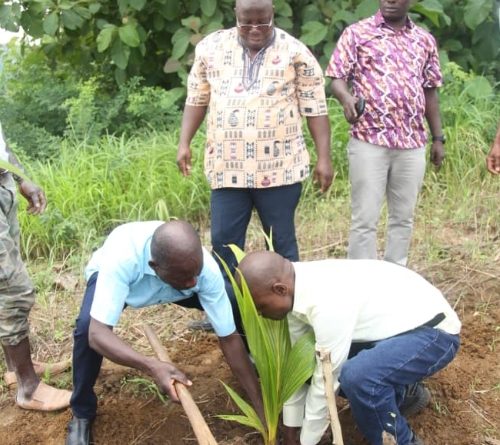 A Bohou-Djamdè: sensibilisation et reboisement marquent l&rsquo;ouverture des luttes traditionnelles